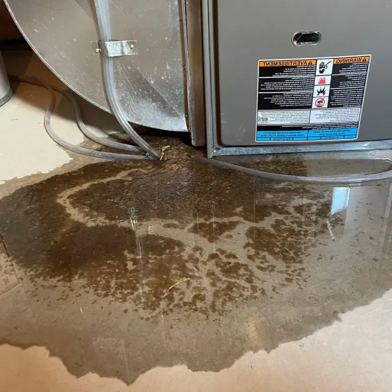 Pipe Burst and Leak Restoration in Alpharetta, GA