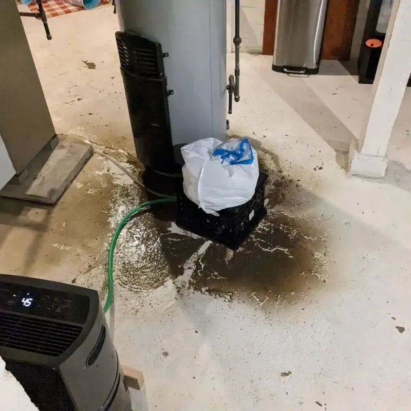 Sewage Backup Cleanup Service in Alpharetta, GA